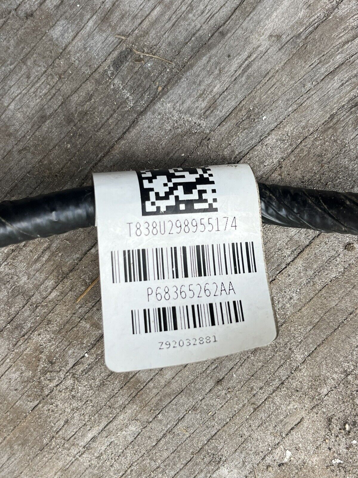 44364686