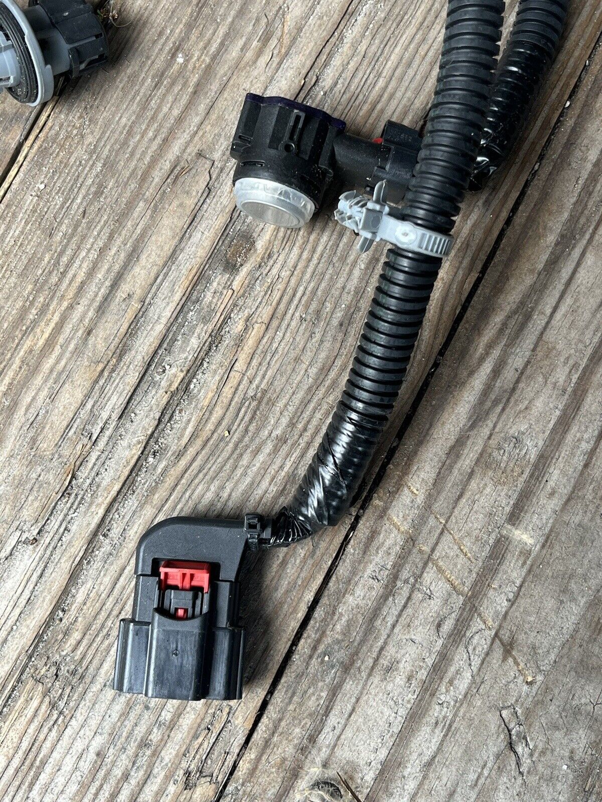 44364967