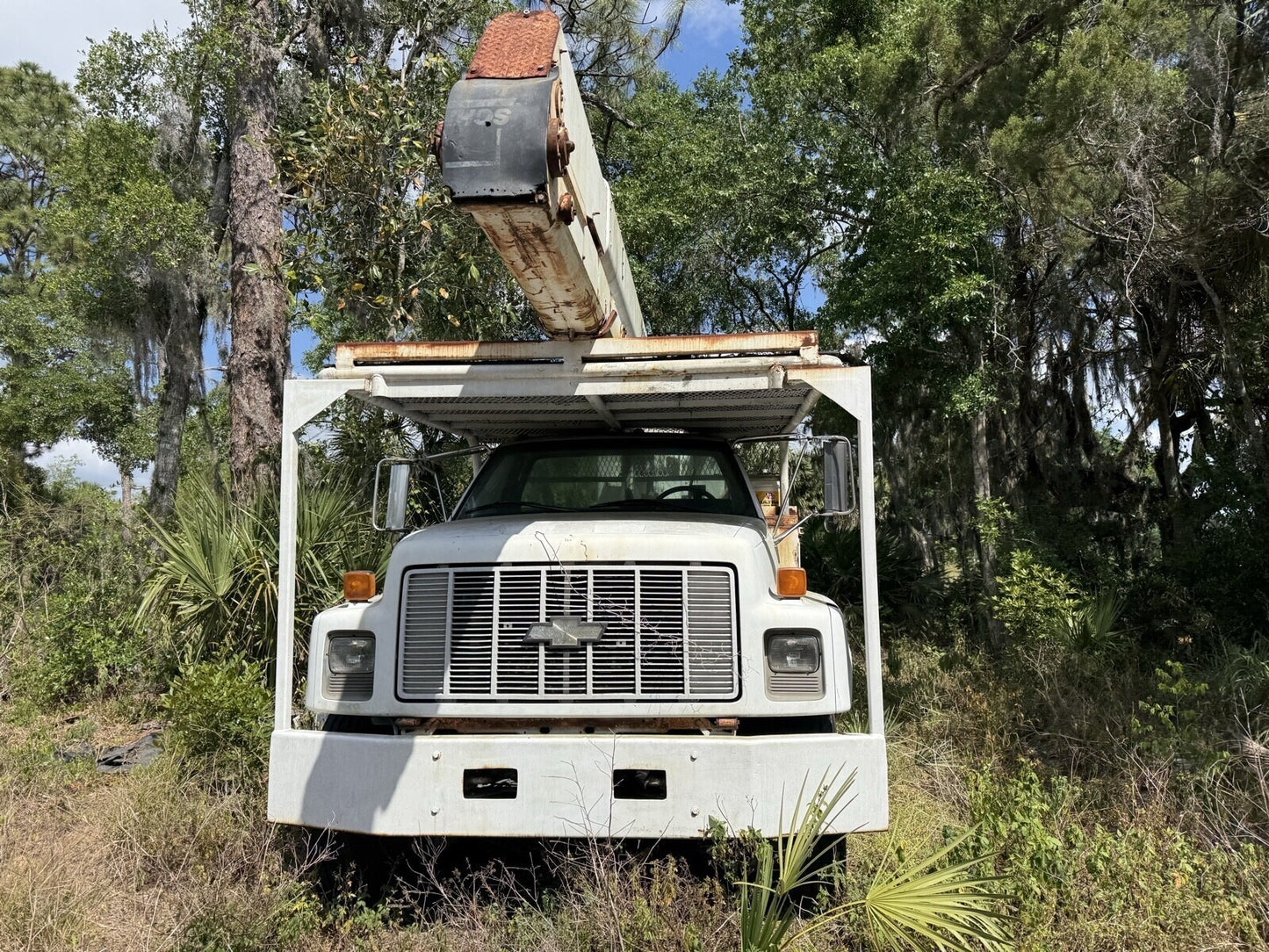 47343847