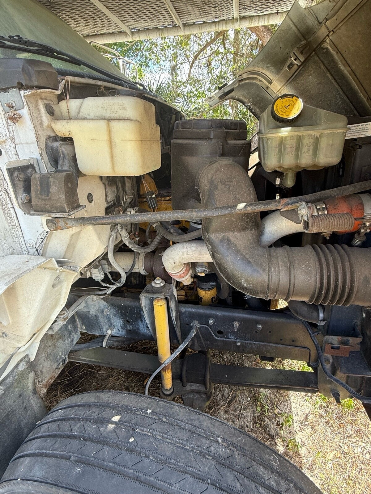 47343847
