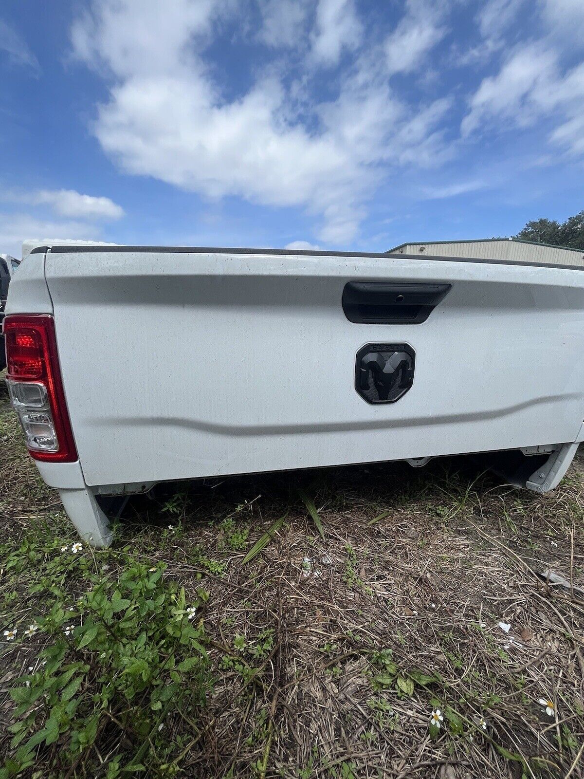 2019-2024 OEM Dodge Ram 2500 3500 8ft Long Bed with LINEX  Tail Lights Tailgate